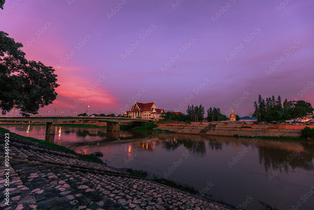 Naklejka premium natural background of many species of plants that are laid out in the park, for the propagation of the species and to provide shade for those who stop by while traveling to study the ecology.