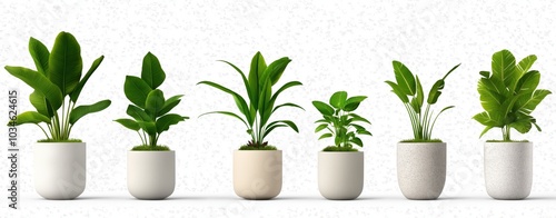 An assortment of thriving verdant potted plants displayed in a row of minimalist white containers creating a serene and harmonious arrangement suitable for home office or commercial interior decor photo