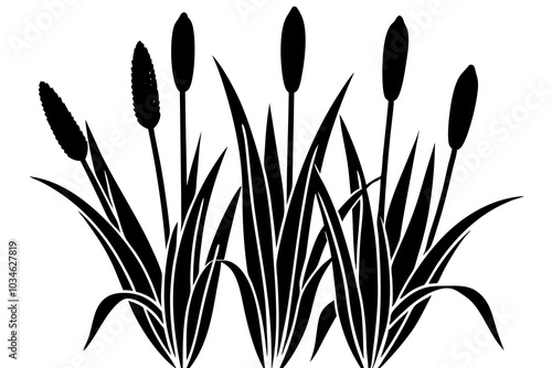 cattail  symbol silhouette illustration