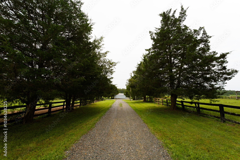 Fototapeta premium Scenic Gravel Path Flanked By Lush Green Trees