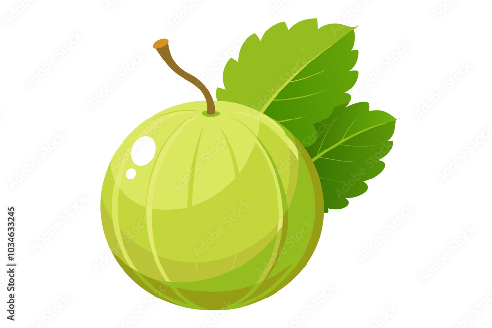 Beautiful gooseberry fruit vector art illustration Beautiful gooseberry fruit vector art illustration