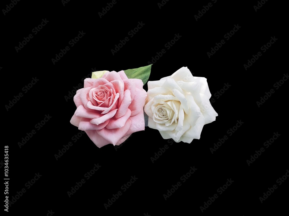 Fototapeta premium Spring pink and white roses for additional decoration. Floral decoration, great for invitations and additional elements.