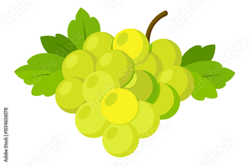 Bunch of green grapes isolated on white background vector art illustration