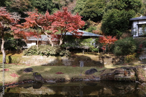 鎌倉、秋の風景。妙香池・正統庵 photo