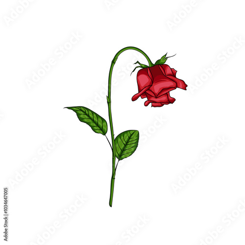 An interesting illustration of a wilting rose as a template