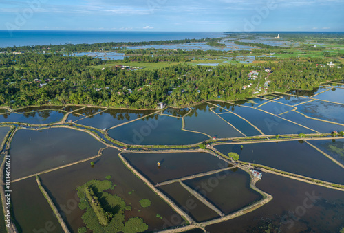 aerial view of fish ponds bordered by the dikes