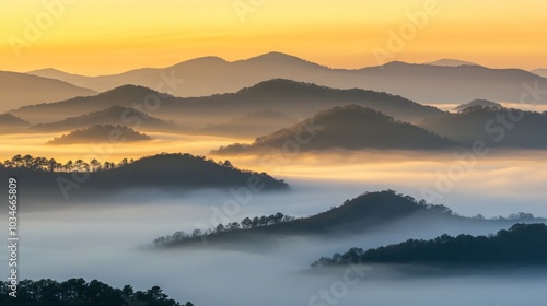 Wallpaper Mural A panoramic view of rolling hills shrouded in mist, bathed in the warm glow of a golden sunrise. The scene creates a sense of tranquility and serenity,  Torontodigital.ca