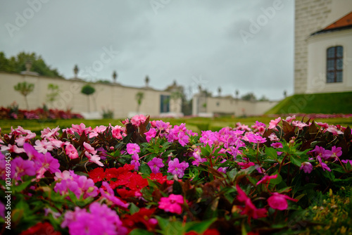 Wallpaper Mural Pink flowers in the gardens of bratislava castle Torontodigital.ca