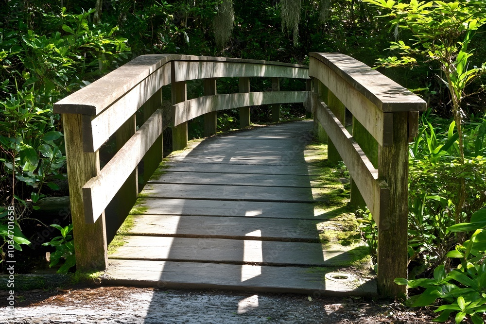 Wooden Footbridge in Lush Green Forest with Sunlight Wooden Footbridge in Lush Green Forest with Sunlight