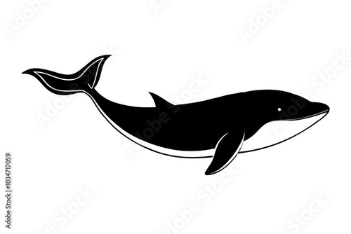 Whale | isolated vector silhouette illustration on white background