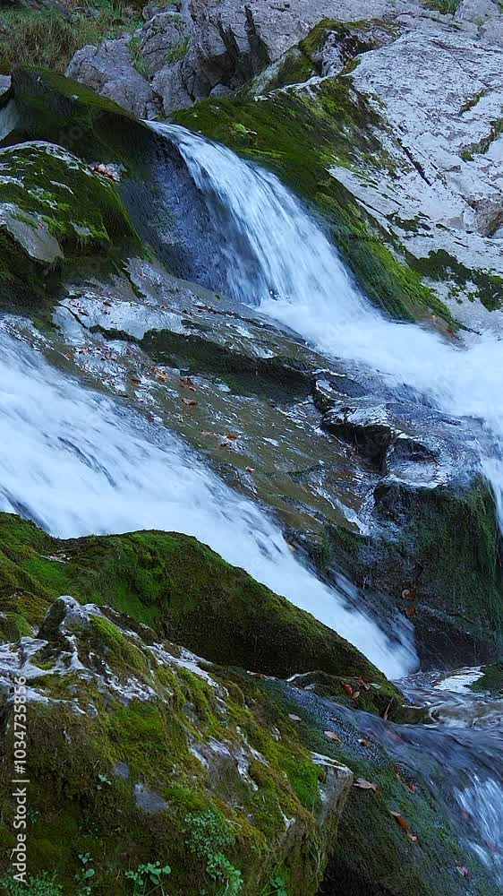 A Serene Mountain Stream Peacefully Flowing Over Mossy Rocks in the Beautiful Landscape A Serene Mountain Stream Peacefully Flowing Over Mossy Rocks in the Beautiful Landscape