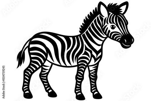 Illustration of standing cute zebra foal