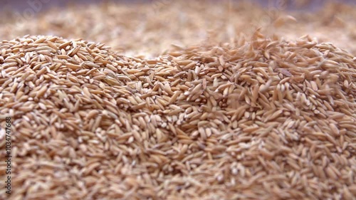 Rice falling from above close-up