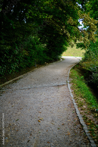 Stone Path Surrounded by Vegetation in Slovenia