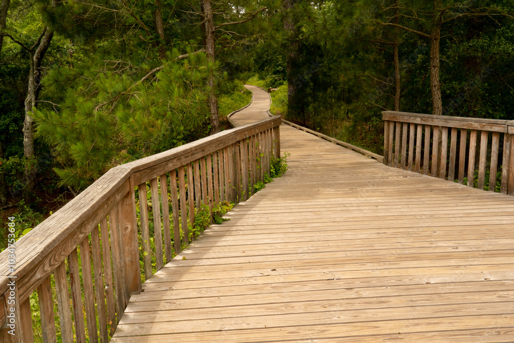 a large fenced in deck has a long walking boardwalk leading to the entertainment area made of lumber materials and built by skilled labor of carpenter in outdoor space a large fenced in deck has a long walking boardwalk leading to the entertainment area made of lumber materials and built by skilled labor of carpenter in outdoor space
