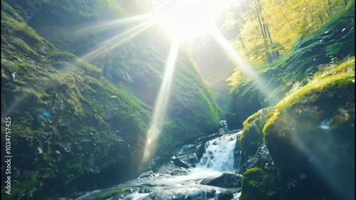 A serene stream flows through a moss-covered rocky gorge, creating small waterfalls and pools amidst lush greenery and shadows.