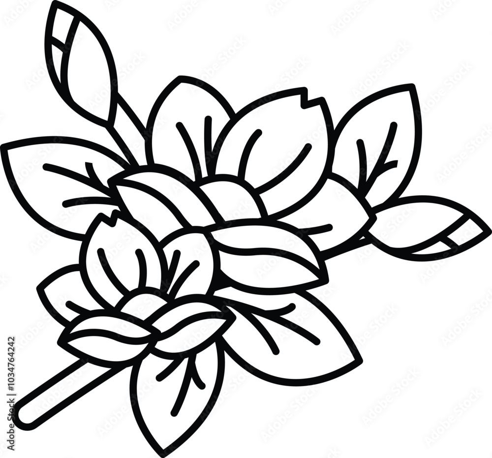 Fototapeta premium A drawing of a flower with leaves and petals