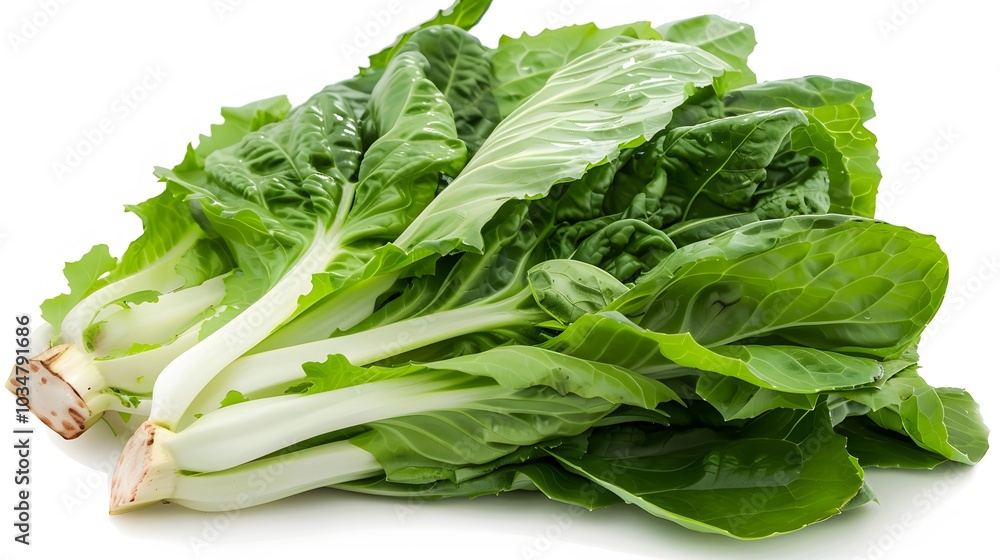 Lettuce on a white background, realistic photographic style, high-resolution digital photography Lettuce on a white background, realistic photographic style, high-resolution digital photography