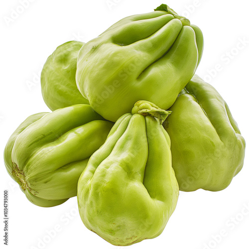 Chayote vegetable isolated Design - Sechium edule Plant illustration on a white background photo