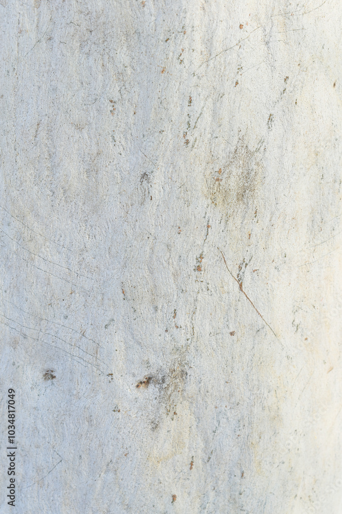 Eucalyptus tree bark texture, Bark of eucalyptus tree, seamless texture, a eucalyptus tree bark texture background image Eucalyptus tree bark texture, Bark of eucalyptus tree, seamless texture, a eucalyptus tree bark texture background image
