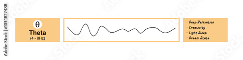 Theta Waves - Brainwave activity graph, Daydreaming, Sleep, and Cognitive Function.