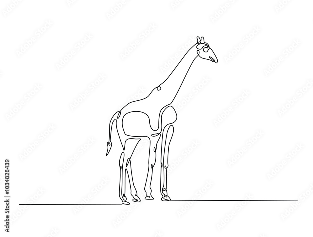 Fototapeta premium Continuous one line drawing of Giraffe with white background. Giraffe single line art vector illustration. Editable vector.