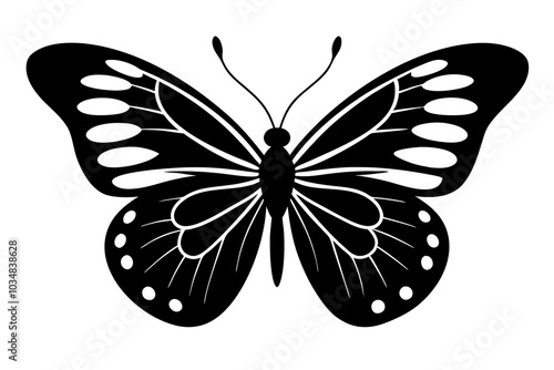 Butterfly Silhouette | isolated vector silhouette illustration on white background