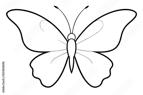 Butterfly Silhouette | isolated vector silhouette illustration on white background