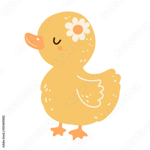 cute chick