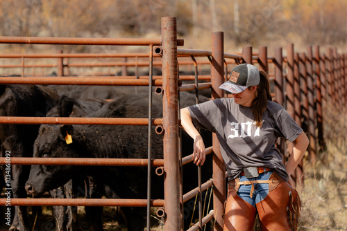 Quadro su tela western cowgirl leaning on fence of cattle corral with black Angus cattle
