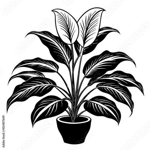 Peace lily silhouette 
 vector art 

