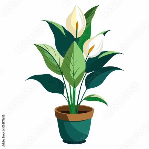 Peace lily vector art 
