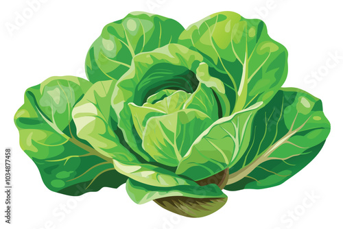 High-Quality Watercolor Digital Painting of Fresh Lettuce, Isolated on White Background