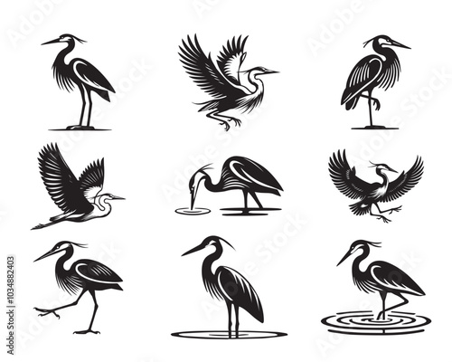 Collection of Great Blue Heron Vector illustration - Great Blue Heron Bird Clipart Design
