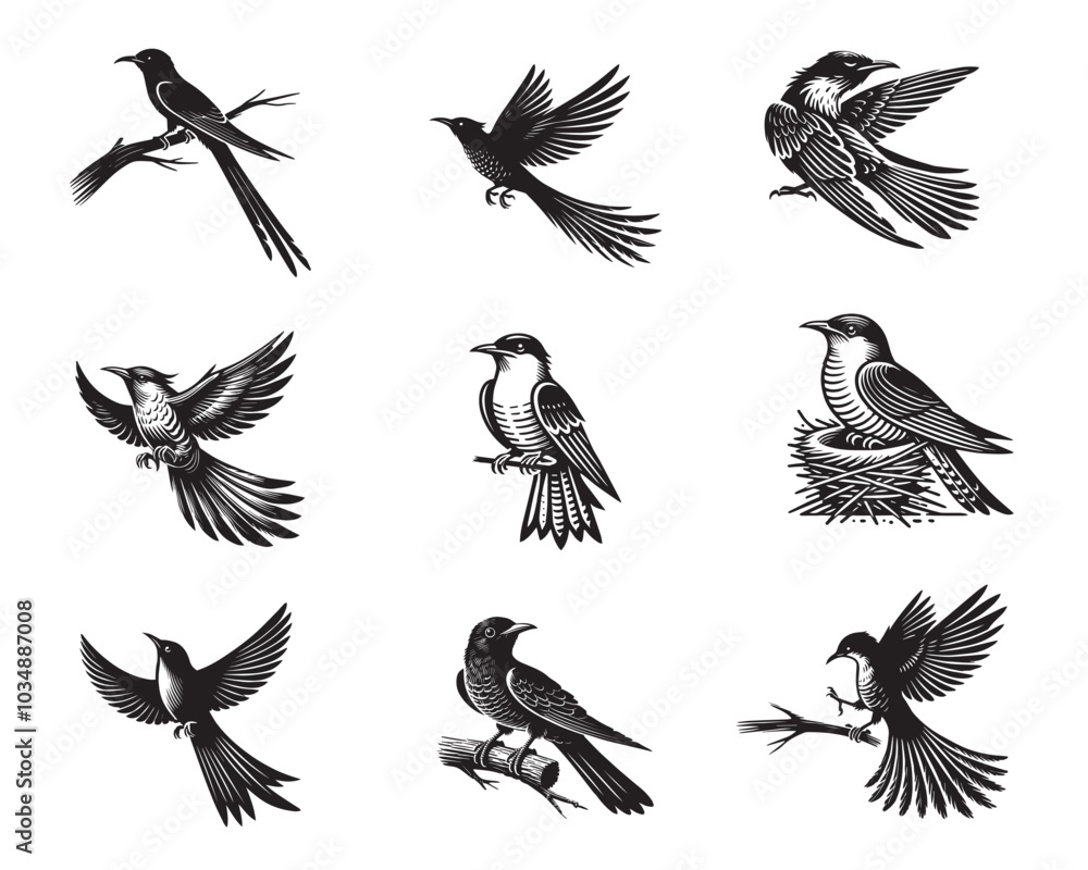 Set of Yellow-billed cuckoo silhouette Design - Yellow billed cuckoo vector illustration
Set of Yellow-billed cuckoo silhouette Design - Yellow billed cuckoo vector illustration