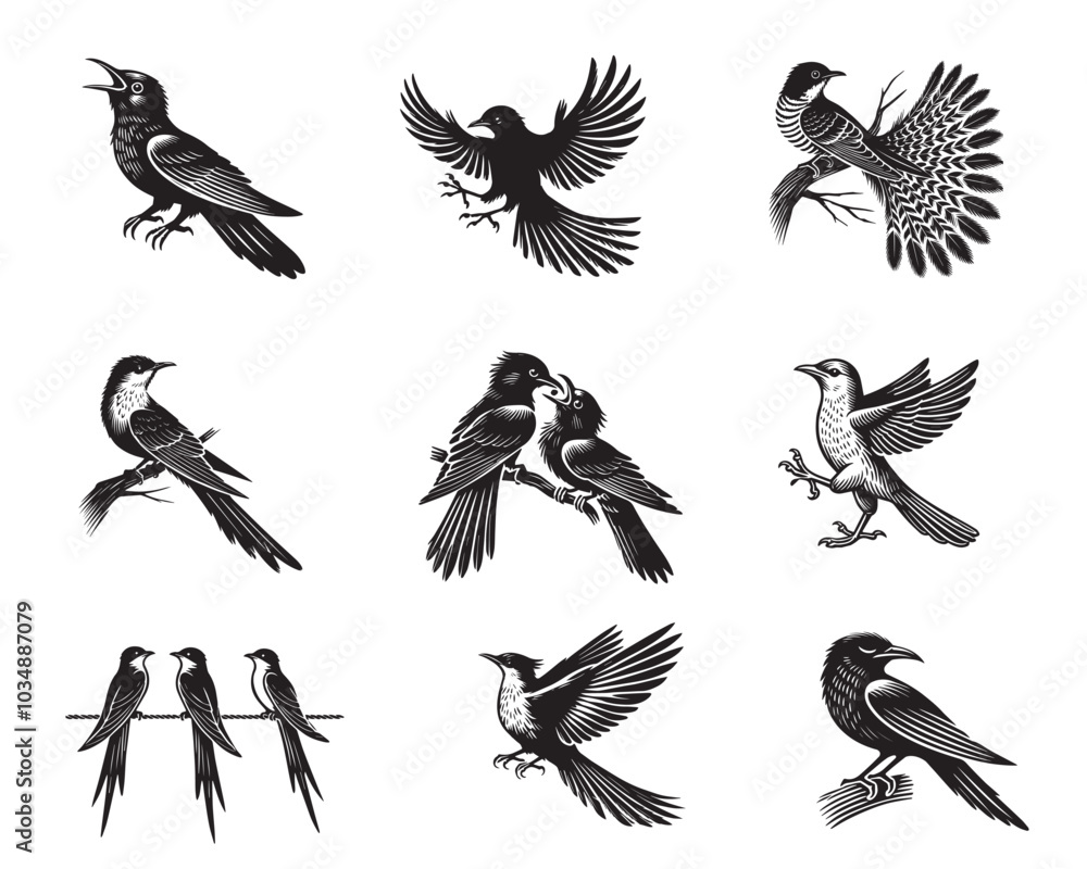 Obraz premium Set of Yellow-billed cuckoo silhouette Design - Yellow billed cuckoo vector illustration 