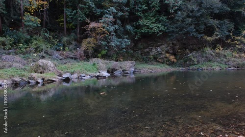 彩り豊かな嵐山渓谷の紅葉
