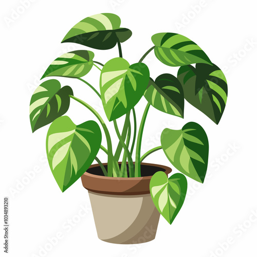 Pothos vector illustration on a white background