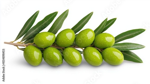 Wallpaper Mural A photostock images of green olive branches with leaves, isolated on white background, High Quality Torontodigital.ca