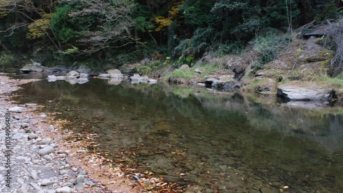 彩り豊かな嵐山渓谷の紅葉