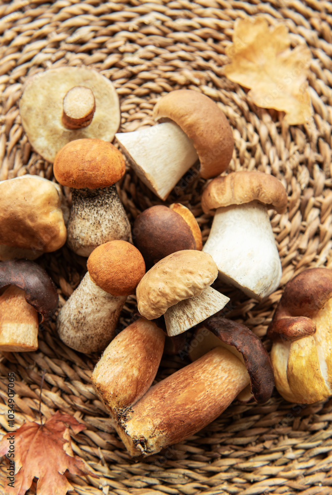 A variety of wild mushrooms arranged neatly on a woven surface with autumn leaves nearby, showcasing nature's bounty A variety of wild mushrooms arranged neatly on a woven surface with autumn leaves nearby, showcasing nature's bounty