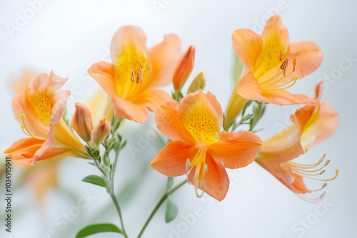 Delicate Orange Floral Arrangement