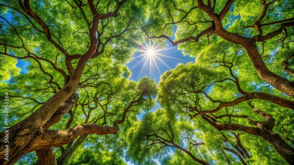Fototapeta premium Lush Tree Canopy of Malaga: A Stunning Perspective from Below, Capturing Vibrant Greenery, Sunlight Filtering Through Leaves, Natural Beauty, and Tranquil Outdoor Spaces
