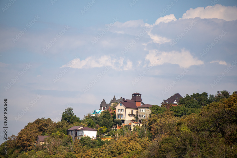A small town with houses and trees in the background A small town with houses and trees in the background