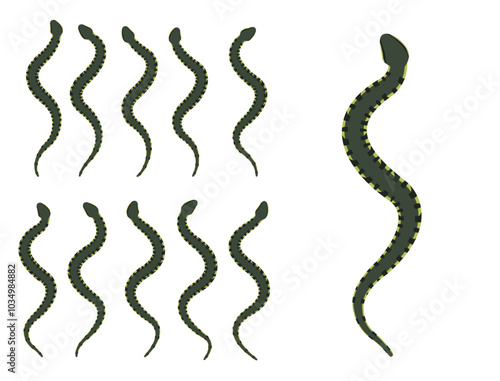 Cottonmouth Snake Animal Animation Sequence Cartoon Vector