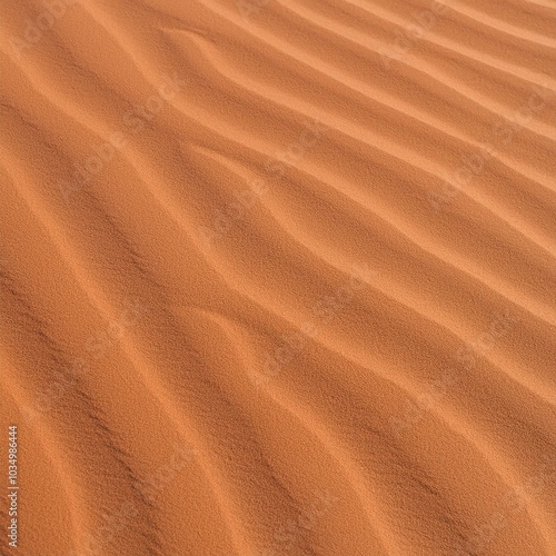 Sand ripples in the desert