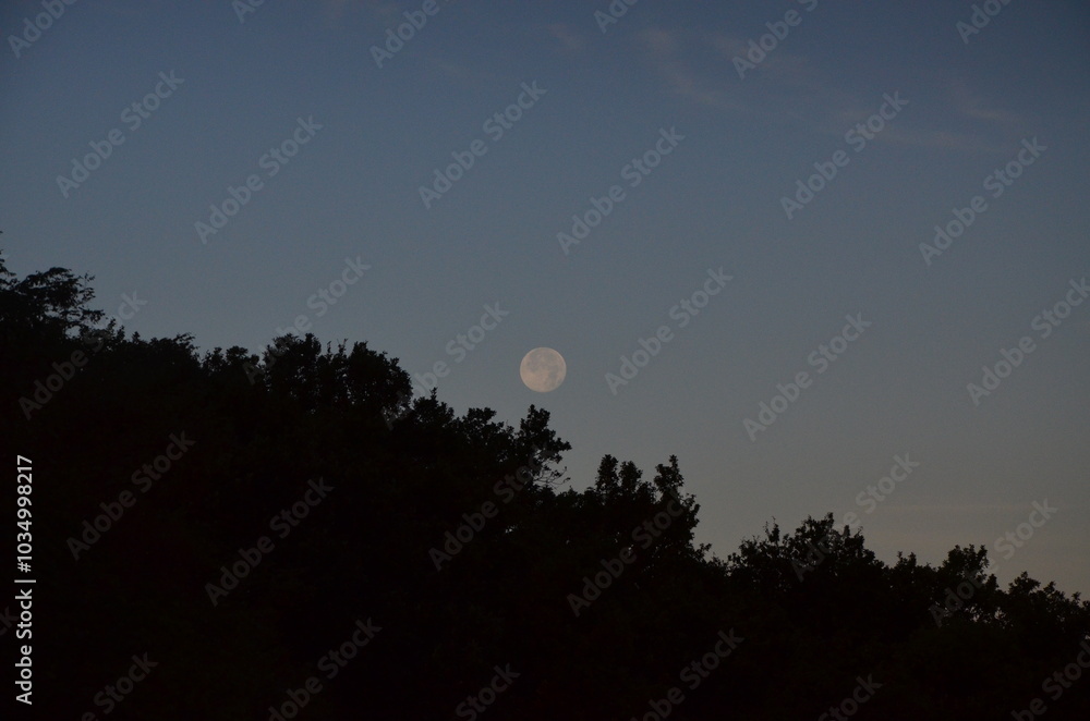 Obraz premium A serene winter night sky featuring the glowing moon surrounded by darkness and subtle atmospheric tones