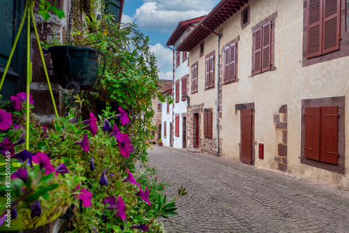 Fototapeta Naklejka Na Ścianę i Meble -  Saint Jean Pied de Port, street with a brick sidewalk and a row of houses.
