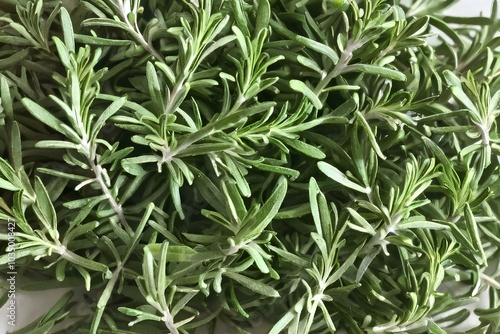 Complete Package: 30g Rosemary Leaves with Bonus Spray Bottle