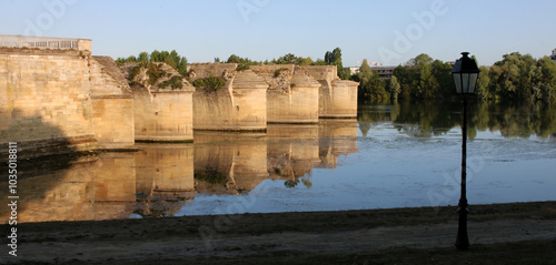 Canvas-taulu Poissy - Pont Ancien